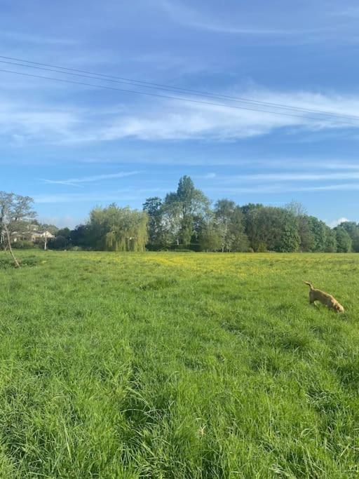 فيلا Elmcroft, Large House With Shepherds Hut جيلينغهام المظهر الخارجي الصورة